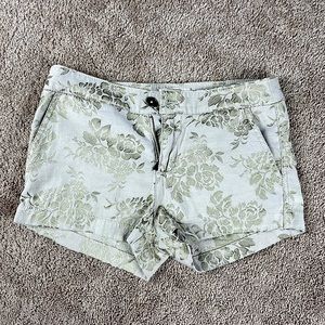 Hollister Shorts